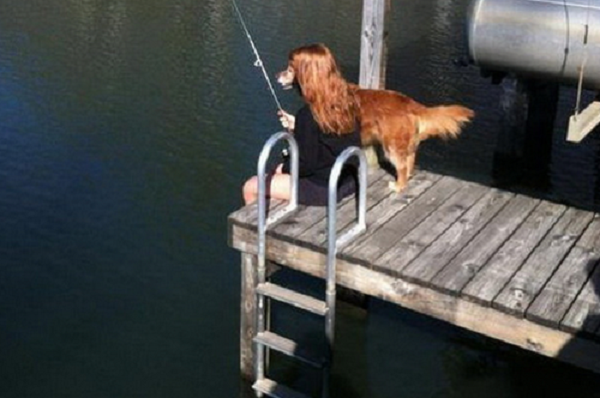 cane che pesca