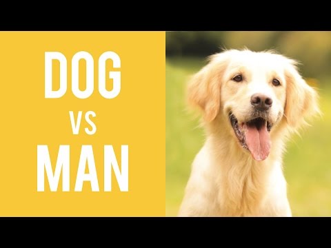 cane vs uomo video