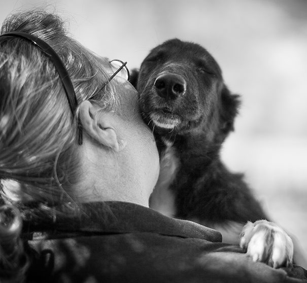 Abbracci tra cani e umani