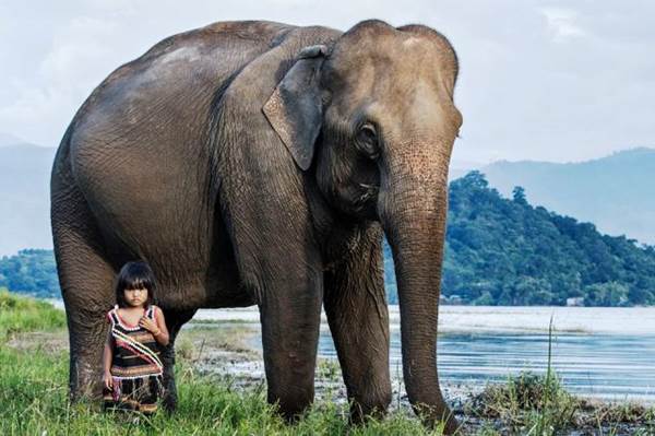 Kim Luan con il suo elefante