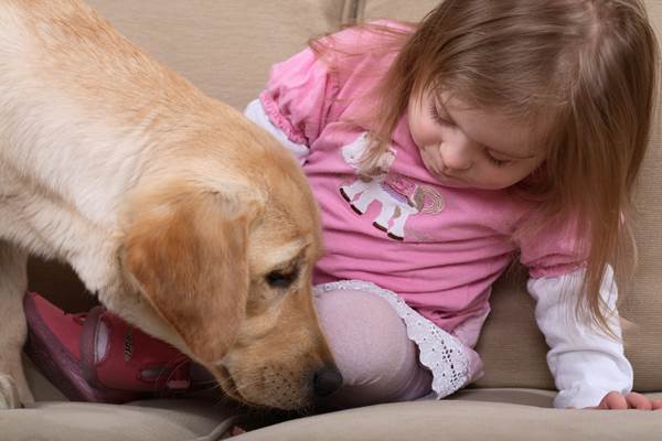 Labrador con bimba affetta dalla sindrome di Down