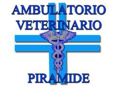 consiglio veterinario online