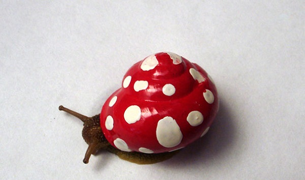 painted-snail-shell-23