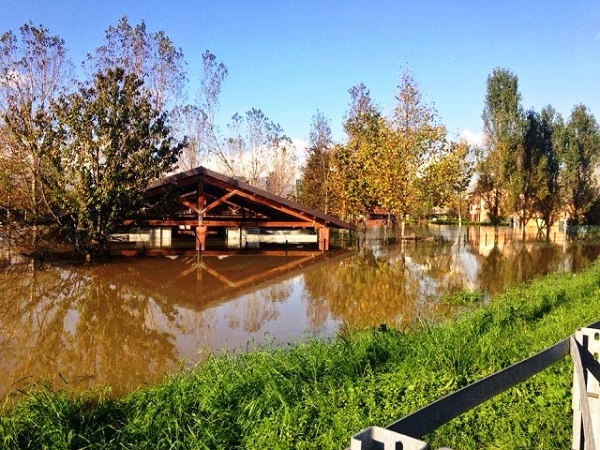 Parco Canile allagato