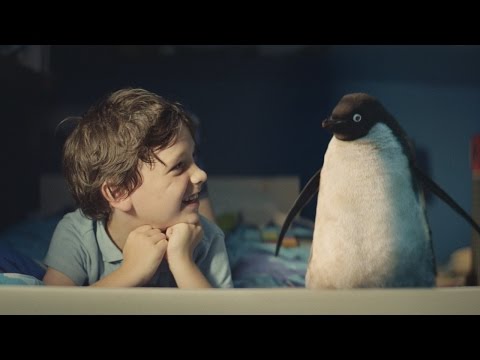 amicizia bambino pinguino video