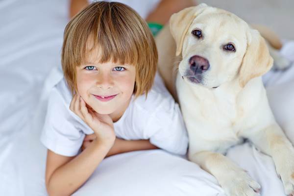 bambino con un Labrador