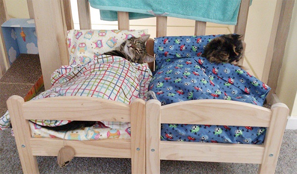 gatti che dormono lettini ikea