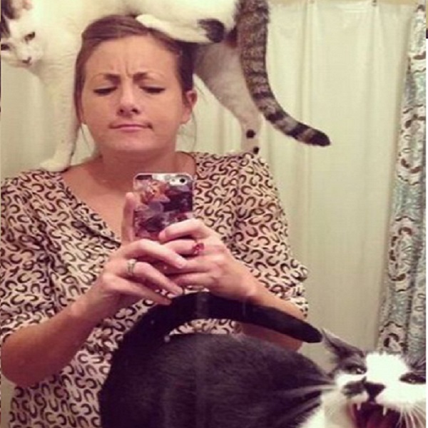 selfie gatti