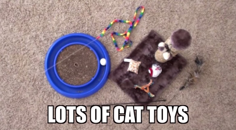 giocattoli gatti