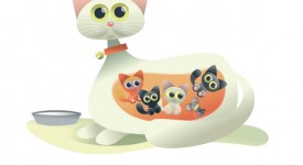 Gravidanza gatti, durata, sintomi cuccioli