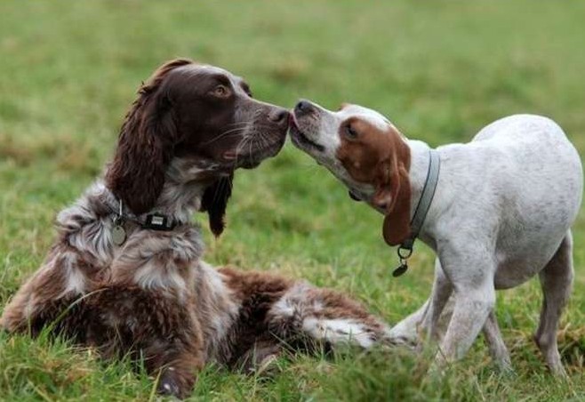 Romeo e Giulietta