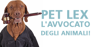 Pet Lex Avvocato animali