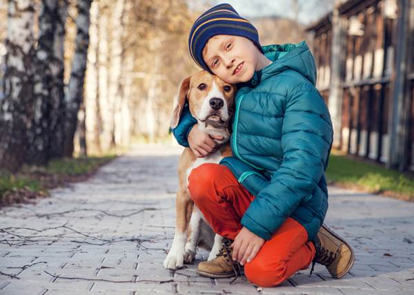 beagle con un bambino