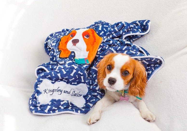 Accessori personalizzati per cani