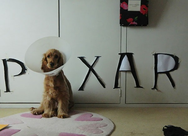 cane pixar