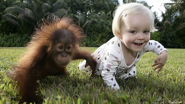 bambina scimmia