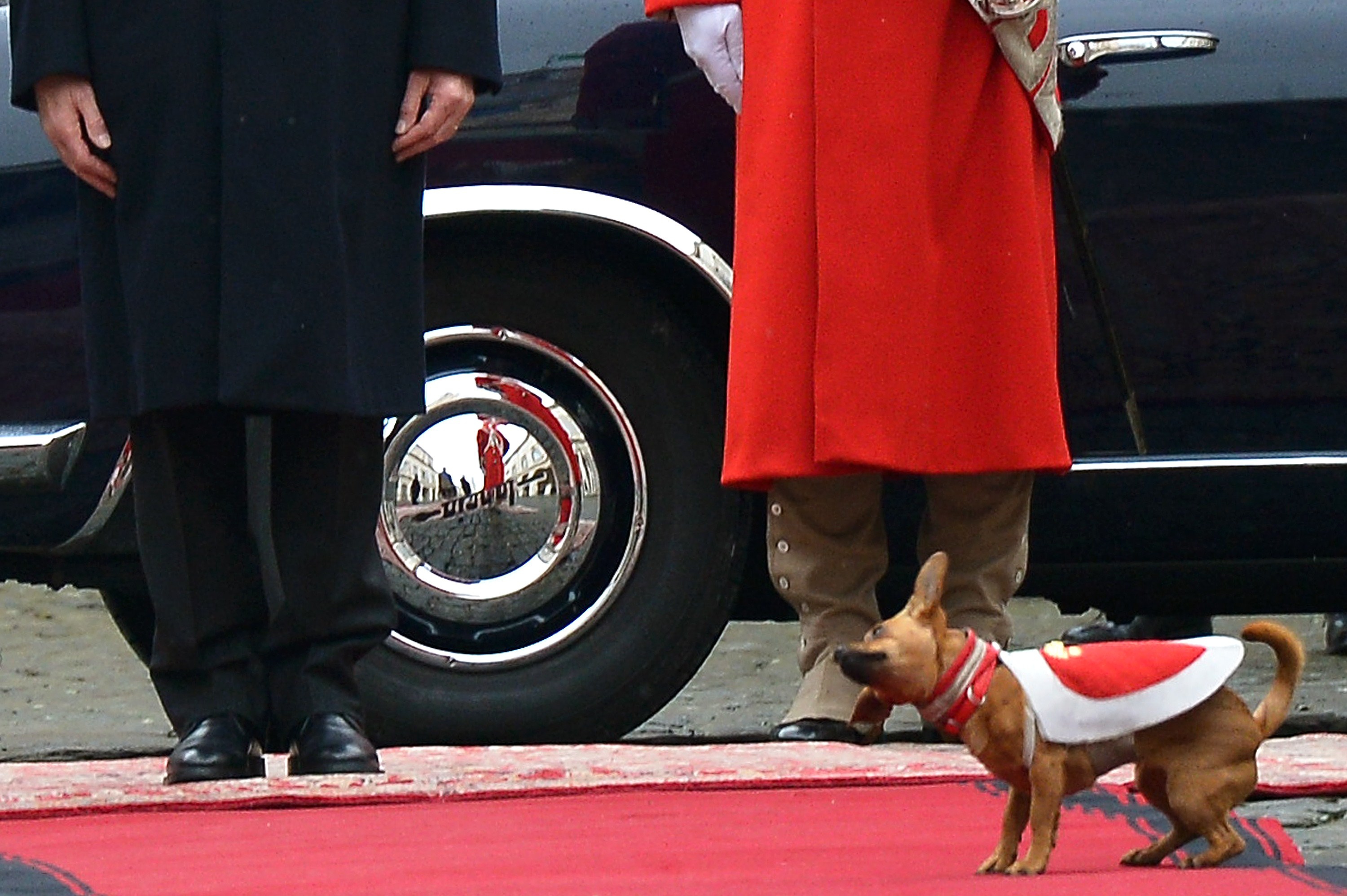 Quirinale 