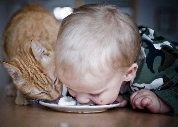 gatto bimbo mangiano