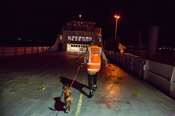 cane insieme poliziotto