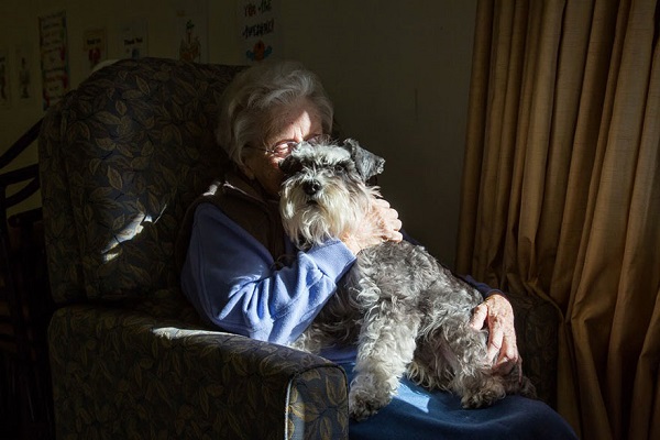 cane pet therapy