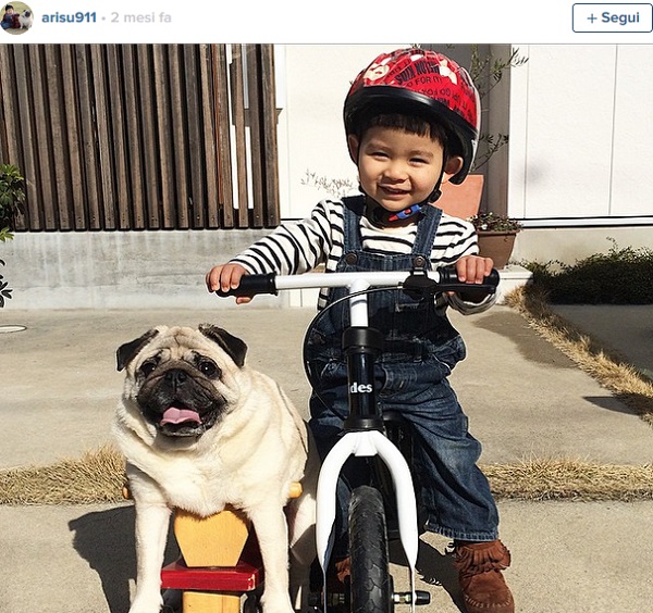 carlino bambino bicicletta