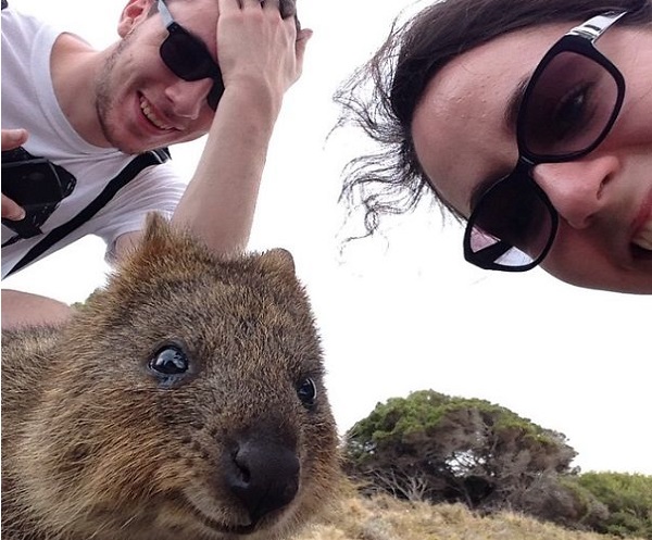 quokka gopro