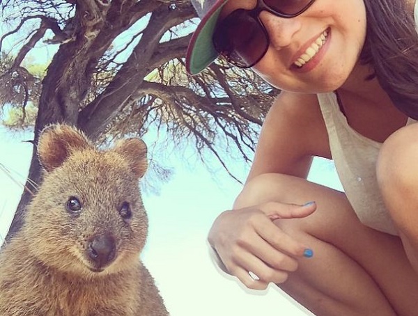 quokka selfie carino