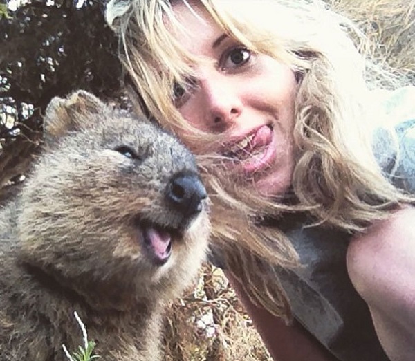 quokka selfie ragazza