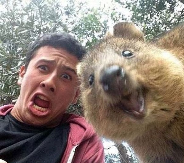 selfie quokka ragazzo