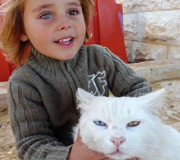 gatto bambino uguali