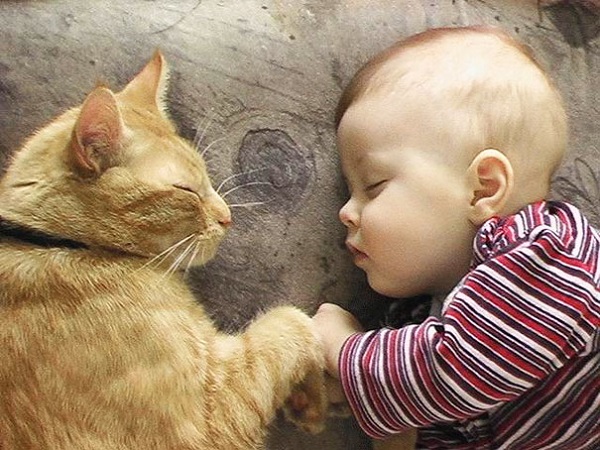 bambino dorme con gatto