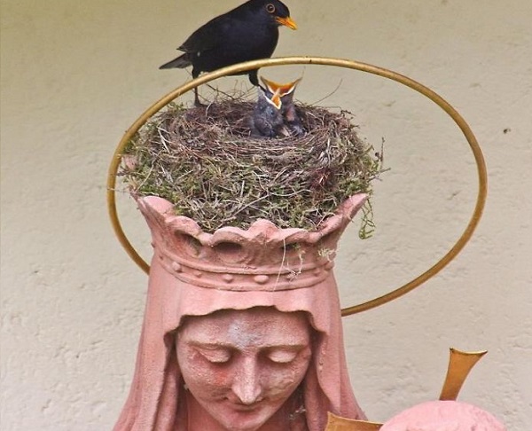nido uccelli statua religiosa