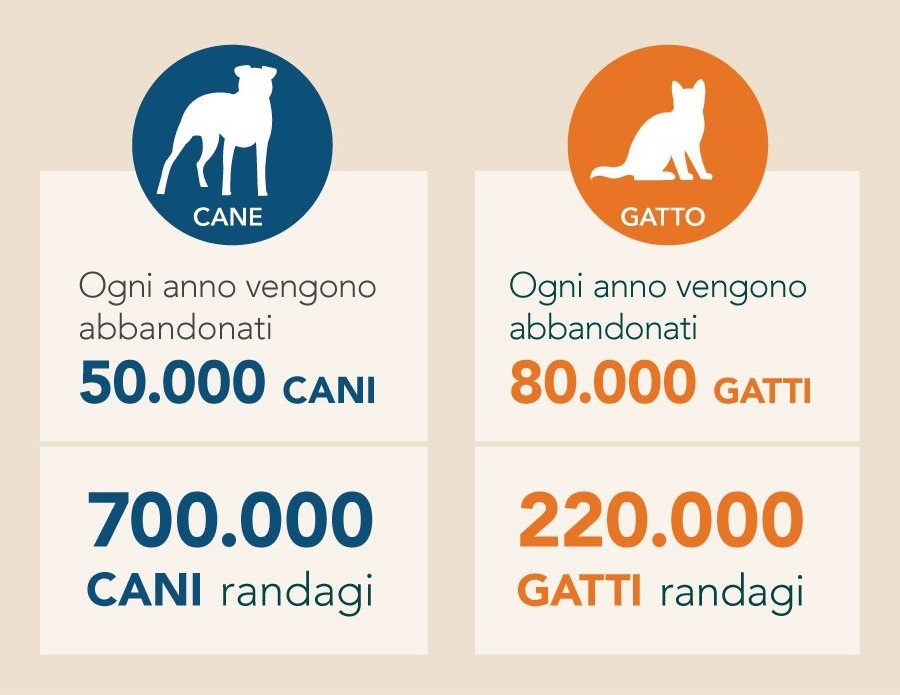 Infografica vacanze con animali