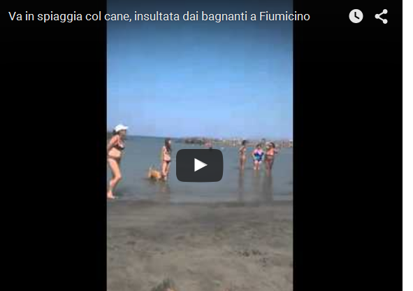 insultata ragazza spiaggia cane