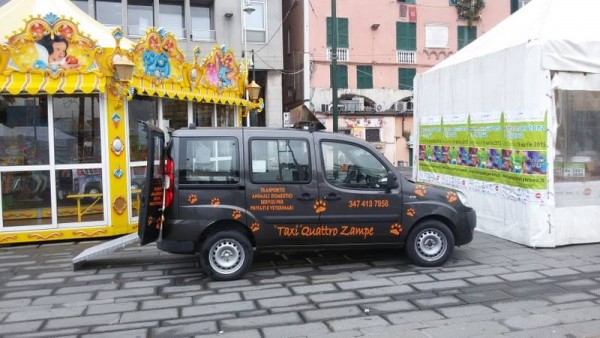 Taxi Genova clienti a quattro zampe