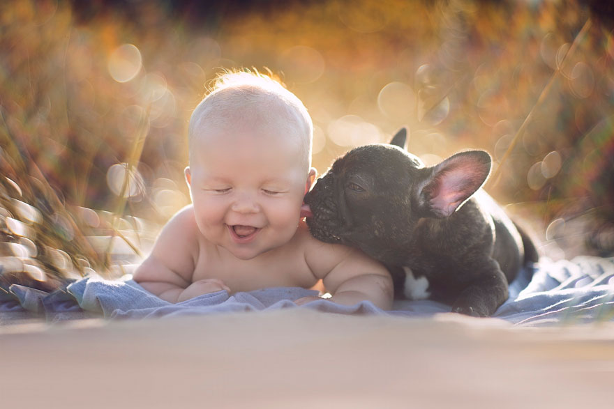 cane bambino amici