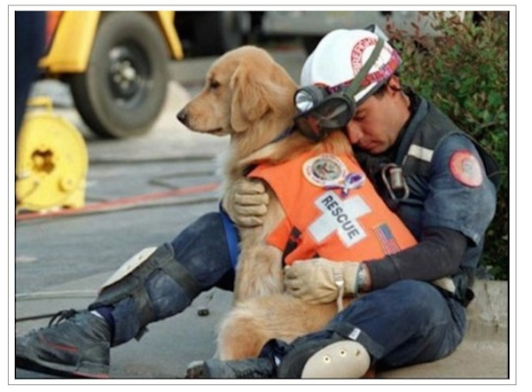 10 animali salvati dai vigili del fuoco