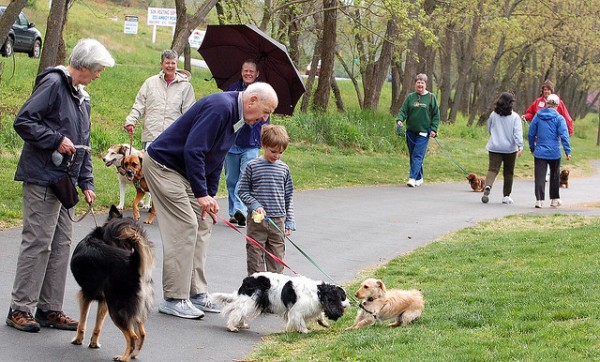 6 motivi per cui cane pagnucola