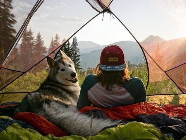 Emozionante fotostoria husky Loki