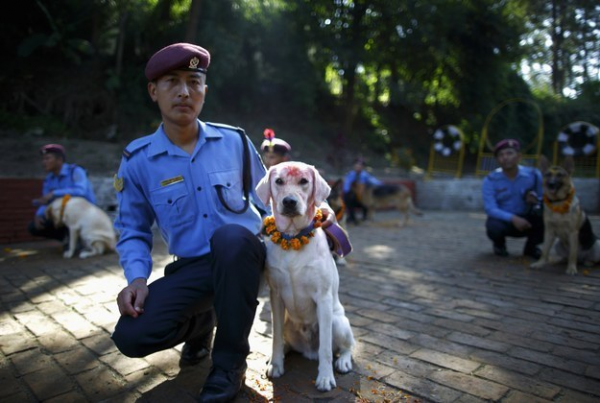 Cani celebrati festa sacra Nepal