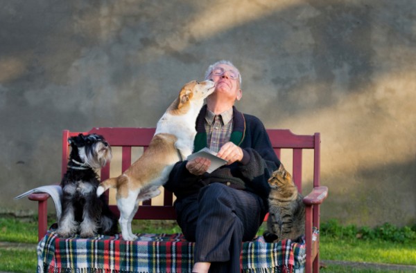 Perché cani e gatti vivono meno?