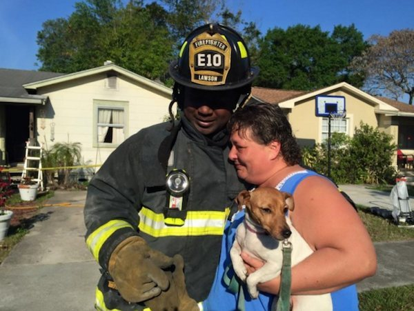 10 animali salvati da vigili del fuoco