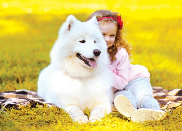 Cane e bambina all'aperto in autunno