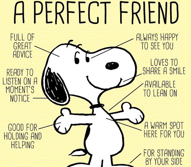 Snoopy amico perfetto (2)