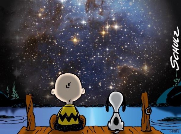 Snoopy e Charlie guardano le stelle (4)