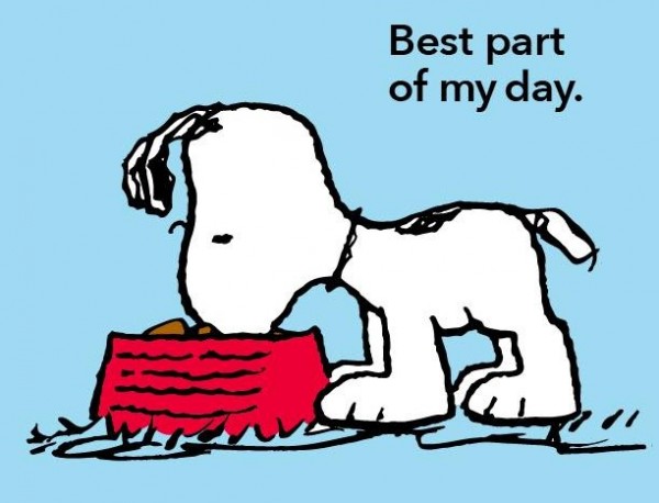 15 cose cani imparate d Snoopy