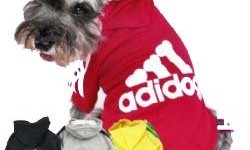 adidog