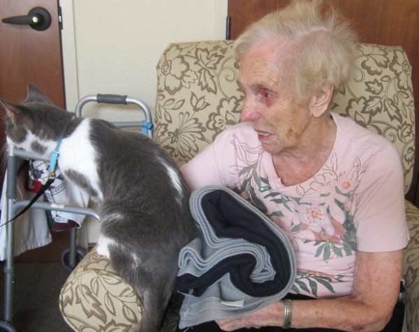 gatto con anziana