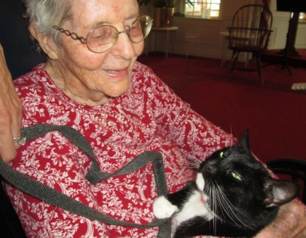 gatto nero e anziana