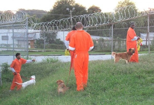 Cani con detenuti carcere Atlanta (Usa)